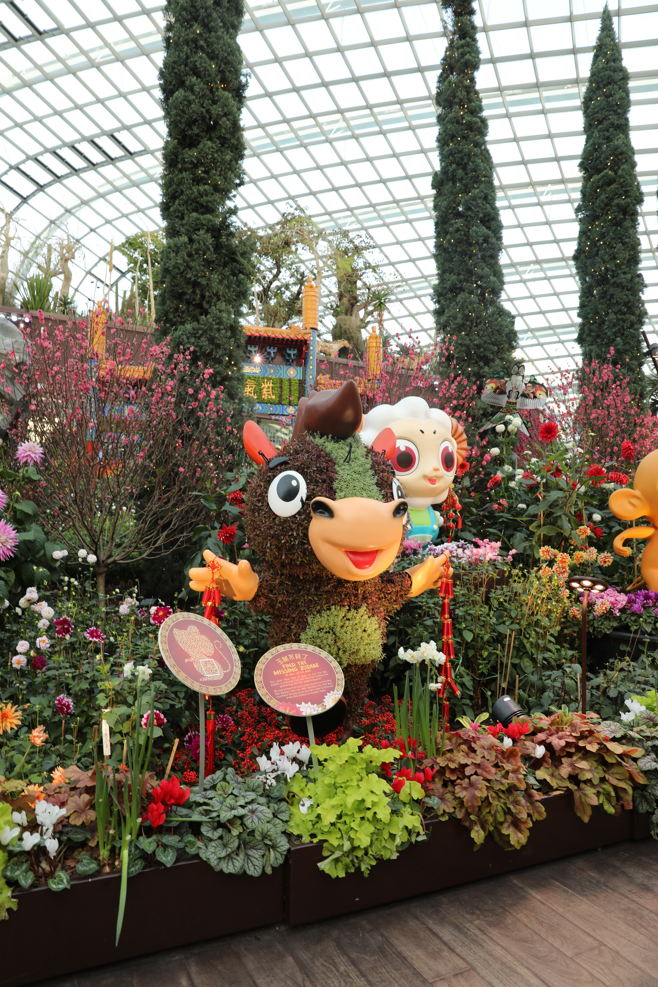 2020 02 03 18 46 26 Canon EOS 5D Mark IV 0064